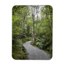Recherche de forêt magnets Jour