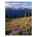 Recherche de olympe posters Couleur