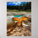 Recherche de consommation posters Nature
