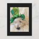 Recherche de leprechaun cartes postales Chanceux