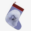 Recherche de caniche chaussette de noël Dog