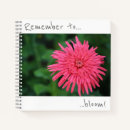 Recherche de chrysanthème rose Fleurs