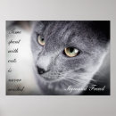 Recherche de chaton gris posters Chatons