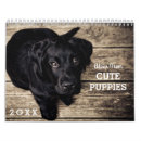 Recherche de chien de conseil Chiot