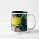 Recherche de pair tasses Jour