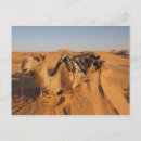 Recherche de caravane posters Tunisie
