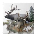 Recherche de taureaux carreaux Animaux