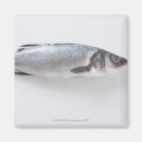 Recherche de nourriture et boisson magnets Photographie