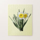 Recherche de jonquilles puzzles Fleurs