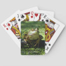 Recherche de grenouille verte jeux de cartes Amphibien