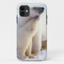Recherche de mammifère coques Ours