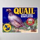 Recherche de contra posters Caille