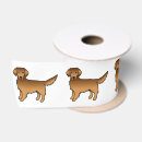 Recherche de golden retriever rubans Extracteur
