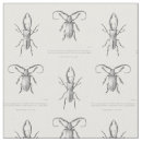 Recherche de scarabée Illustration