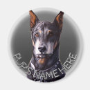 Recherche de pinscher magnets Dog