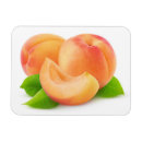 Recherche de abricots magnets Fruit