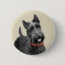 Recherche de chien de terrier badges Dog