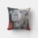 Recherche de bull terrier coussins Dog