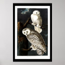 Recherche de illustration hibou posters Vintage