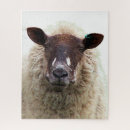 Recherche de moutons puzzles Fermes