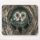 Recherche de hiboux de trou Nature