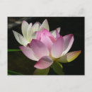Recherche de paire cartes postales Fleur