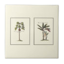 Recherche de avions carreaux Arbres