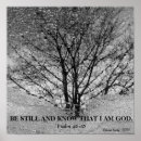 Recherche de arbres en noir et blanc posters Hiver