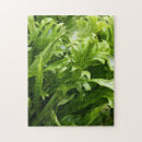 Recherche de fougère puzzles Plante