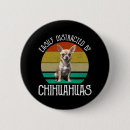 Recherche de chihuahua badges Mignon