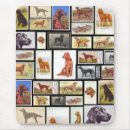Recherche de cigarettes tapis souris Chien