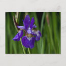 Recherche de blau Nature