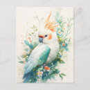 Recherche de orange et blanc cartes postales Toute personne