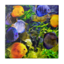 Recherche de aquatique carreaux Mer