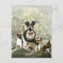 Recherche de fox terrier cartes postales Renard