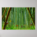 Recherche de bambou art Papillon