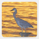 Recherche de la floride autocollants Coucher de soleil