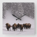 Recherche de image de couleur horloges Les etats unis occidentaux