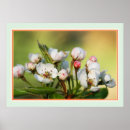 Recherche de macro de fleur posters Printemps