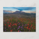 Recherche de chemin de terre cartes postales Paysage