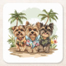 Recherche de yorkshire dessous de verres Chiot