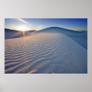 Recherche de dune posters Personne