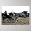 Recherche de cheval harnais posters Amish