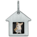 Recherche de chi animaux articles Simple