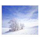 Recherche de photo de grand format posters Pittoresque