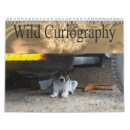 Recherche de chiwawa bureau fournitures Animal familier