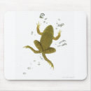 Recherche de grenouille verte tapis souris Plan studio