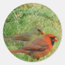 Recherche de cardinal autocollants Jardin