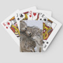 Recherche de loup jeux de cartes Nature