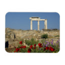 Recherche de cyclades magnets Île